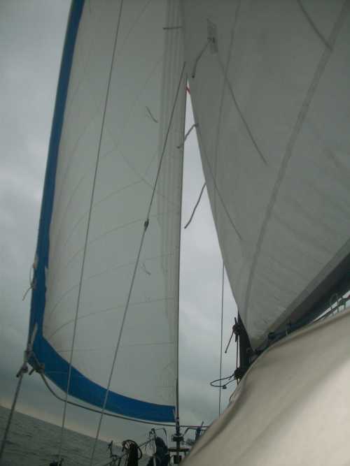 ijsselmeer13-11 (29K)
